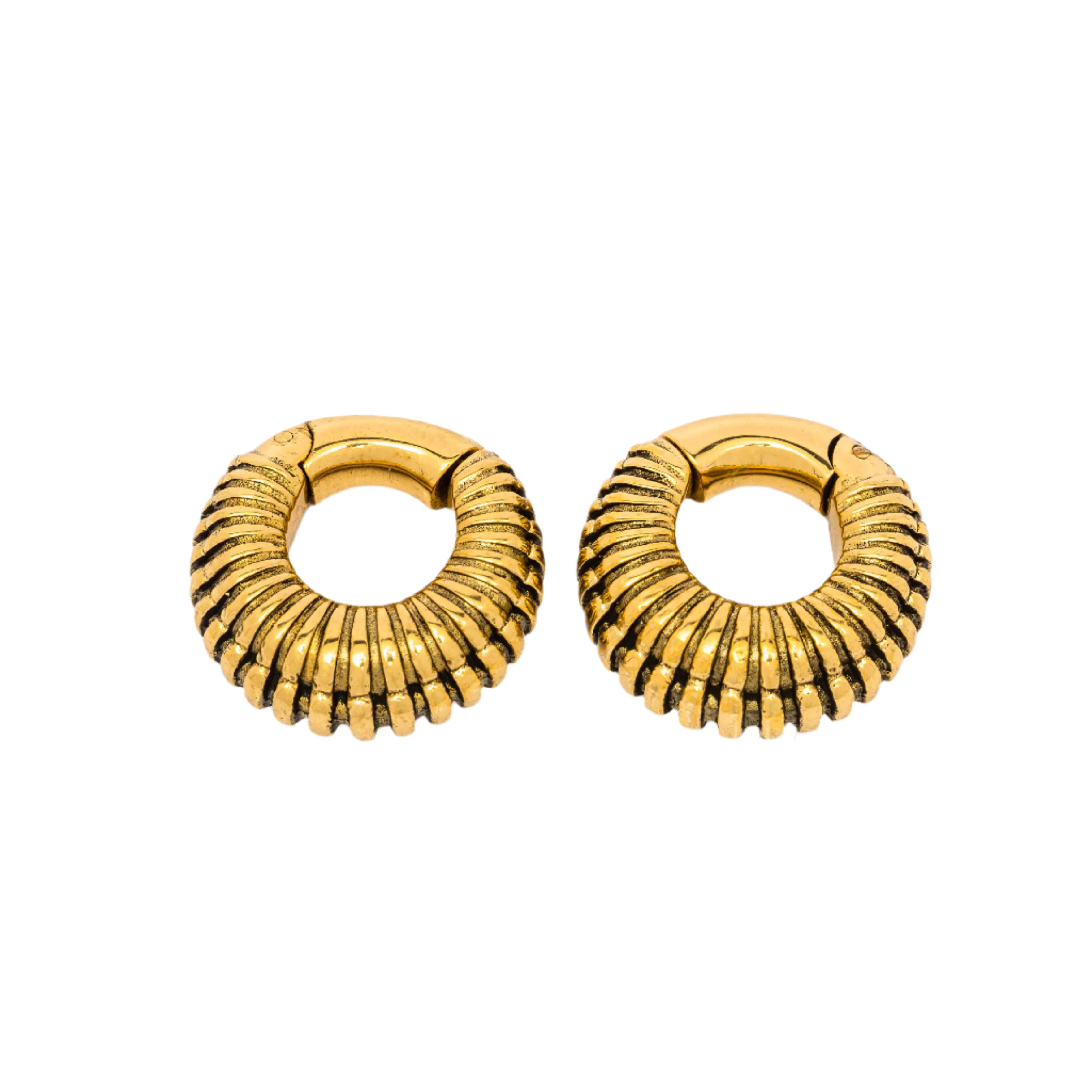 TRILOBITE Petits poids d'oreille biomécaniques Clicker en laiton doré | 2 jauge
