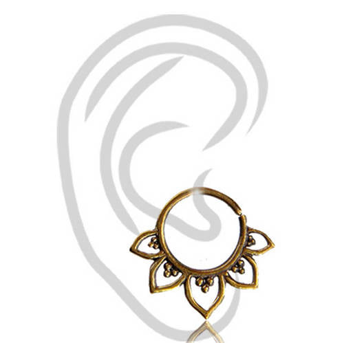 Agrandir