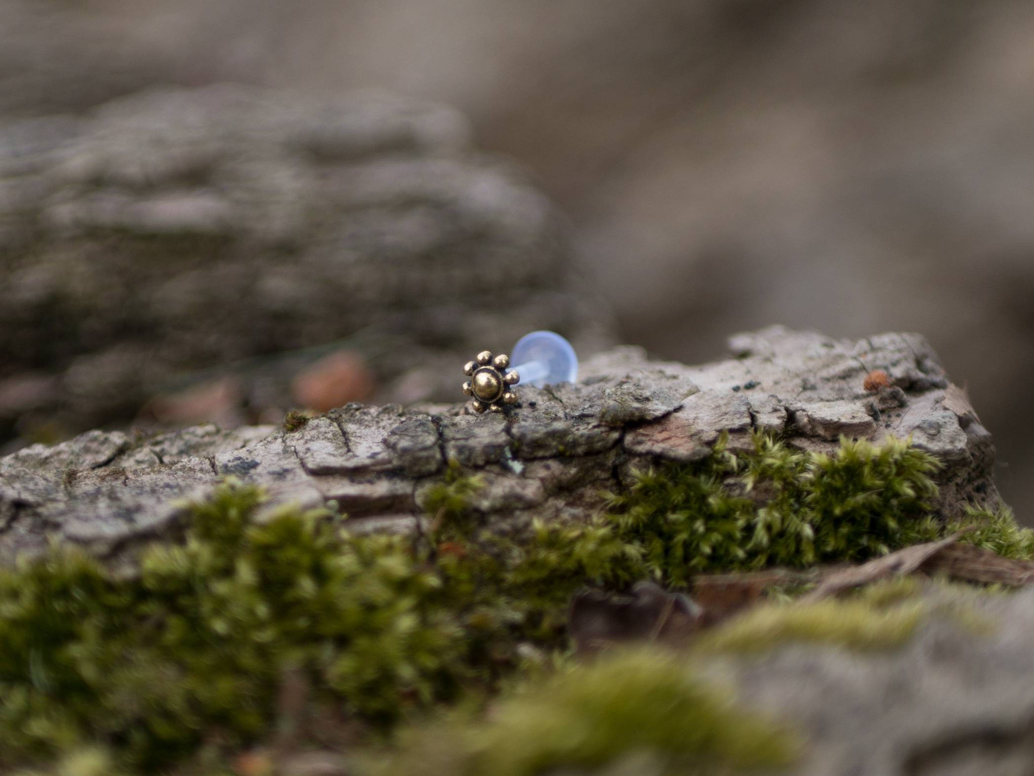 Close-up of the small, metallic LUST Flower Labret Stud in Gold by Kaya Movement with protruding studs resting on a rough, textured surface. The background is slightly blurred, featuring moss and natural, earthy tones. A hint of minimalist tribal design is visible in the soft blue shape in the distance.