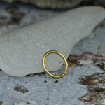 The INDUS Seamless Hoop Ring in Gold by Kaya Movement, a sleek and minimalist 20-gauge circular piece of body jewelry, rests on a textured, grayish-white stone surface. In the background, additional stones in various shades of gray and red create a slightly blurred and rustic ambiance. This versatile piercing accessory adds elegance to its natural setting.