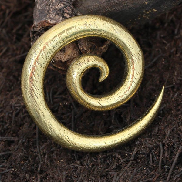 A polished, golden spiral-shaped SPIRAL Minimalist Ear Weight in Gold by Kaya Movement with a pointed end sits on a dark, earthy surface. The metal appears shiny and smooth with some texture visible, resembling an ancient or decorative piece of gold jewelry. Behind it, there is a textured wooden branch.