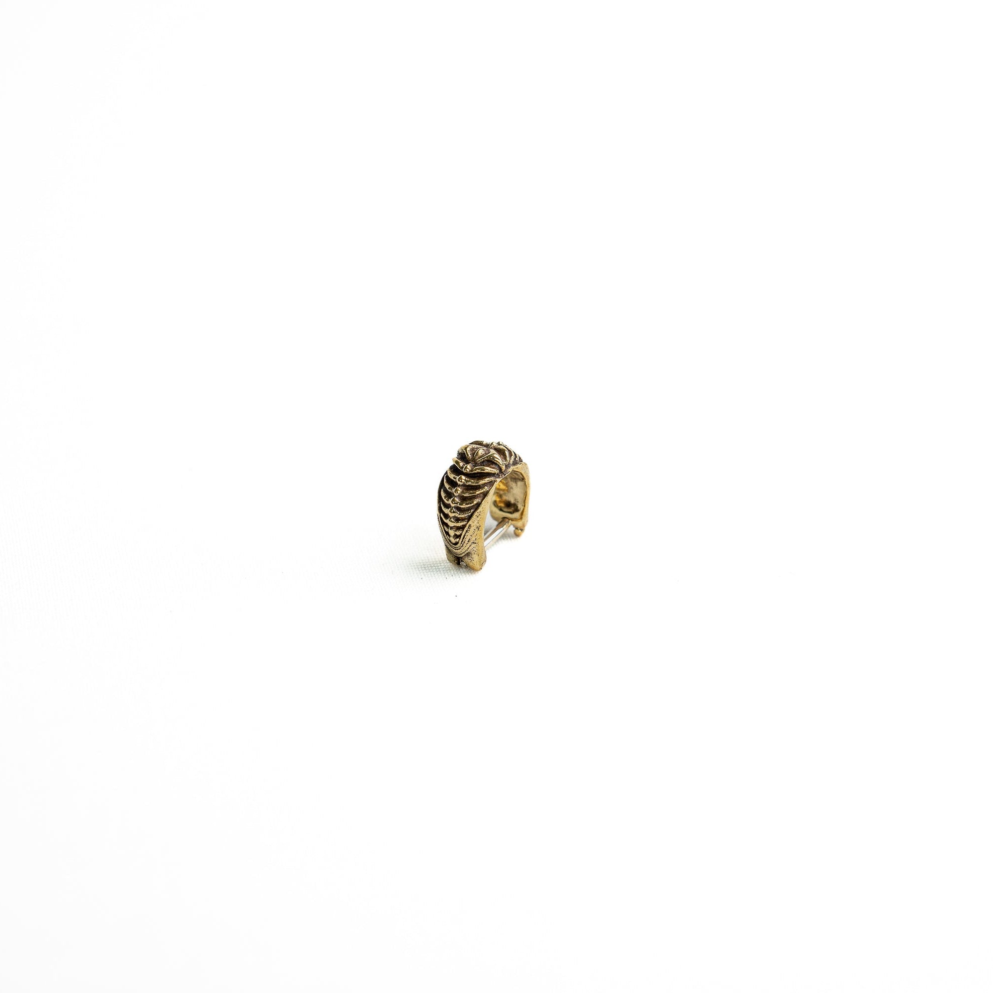 A side-angle view of a brass bio-organic septum ring with a clicker closure, showing its smooth curvature and antique finish.