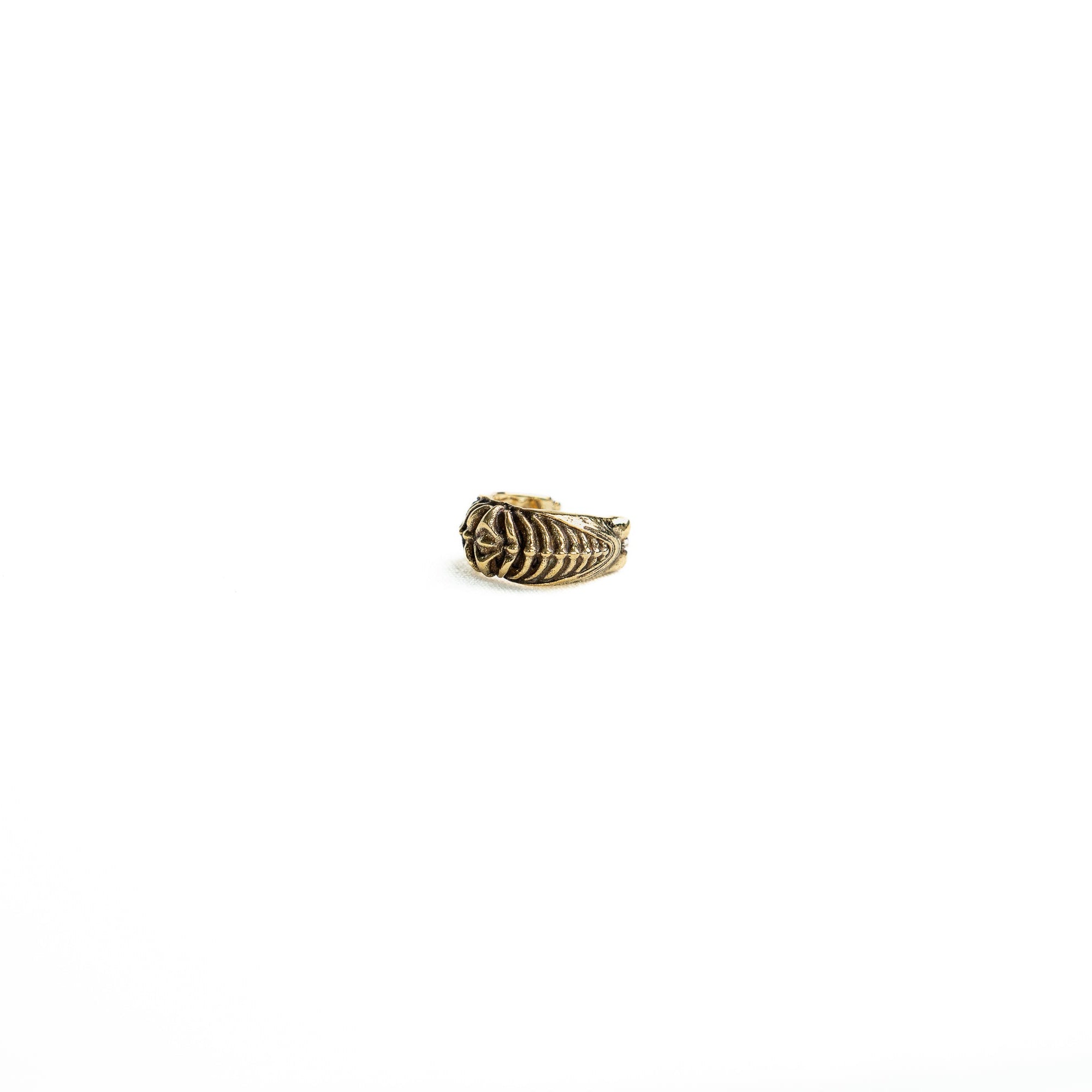 A close-up of a single brass bio-organic septum ring with a clicker closure, highlighting its detailed craftsmanship and antique finish.