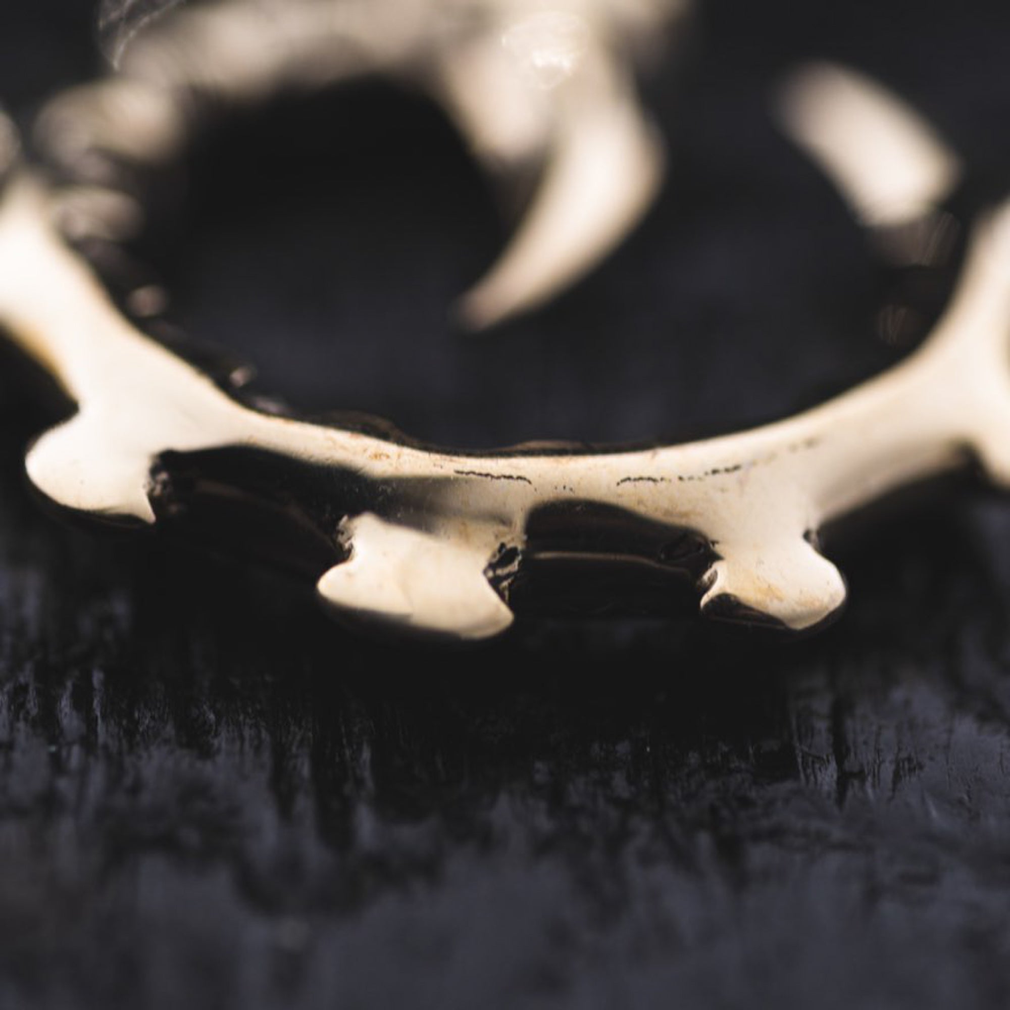 A close-up shot features the GIGER Biomechanical Open Ended Hoop Ear Weights in Gold from Kaya Movement, resembling an ornate, metallic object with spiked ring-like or circular gear qualities. Resting on a dark, textured surface, the ear weights have a polished, reflective finish and are slightly out of focus to highlight their curved and pointed features.