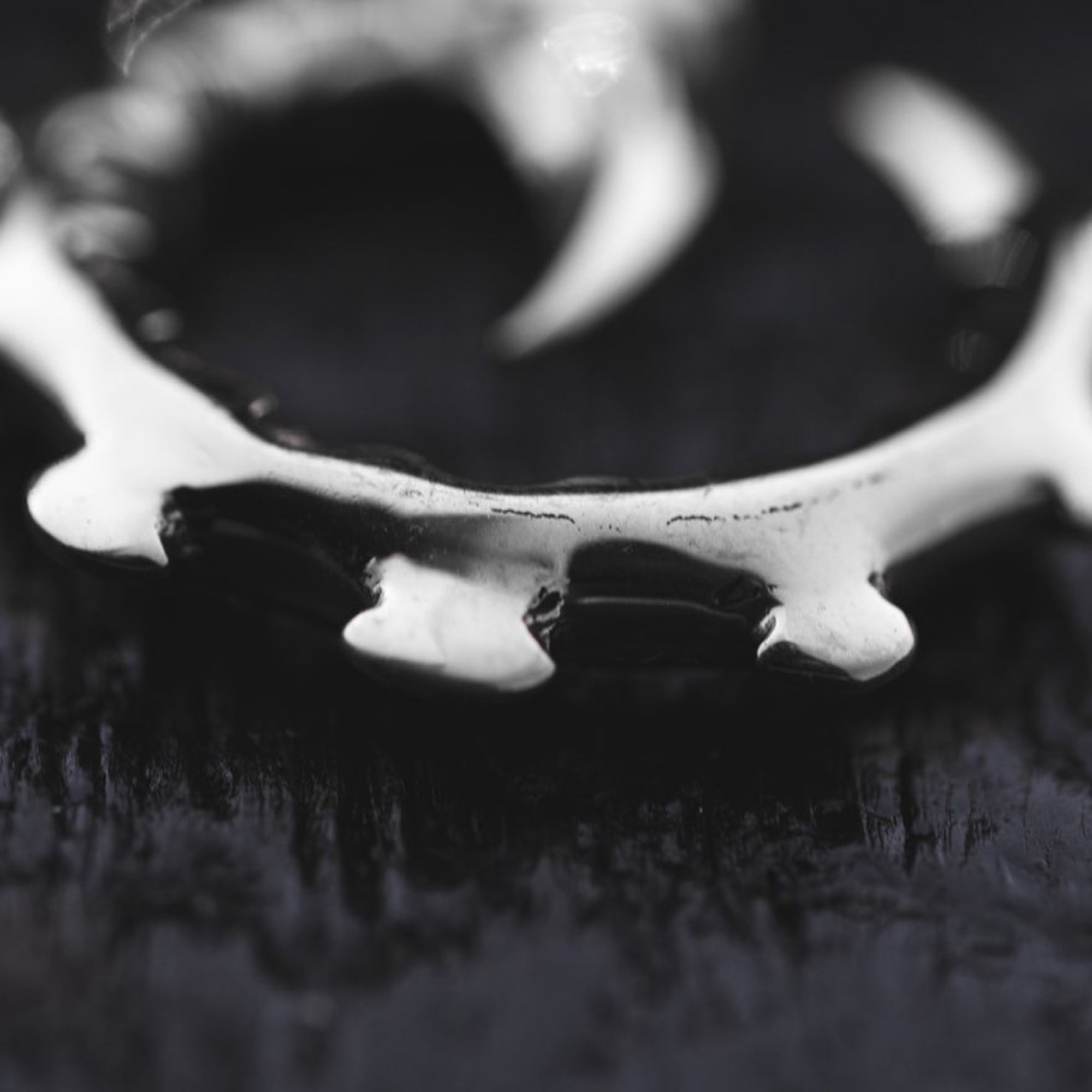 Close-up image of the GIGER Biomechanical Open Ended Hoop Ear Weights in Silver 925 by Kaya Movement, resembling post-apocalyptic body jewelry akin to a toothed ring or bear trap, placed on a textured dark surface. The focus is on the middle section of the ear weights, leaving the edges slightly blurred.