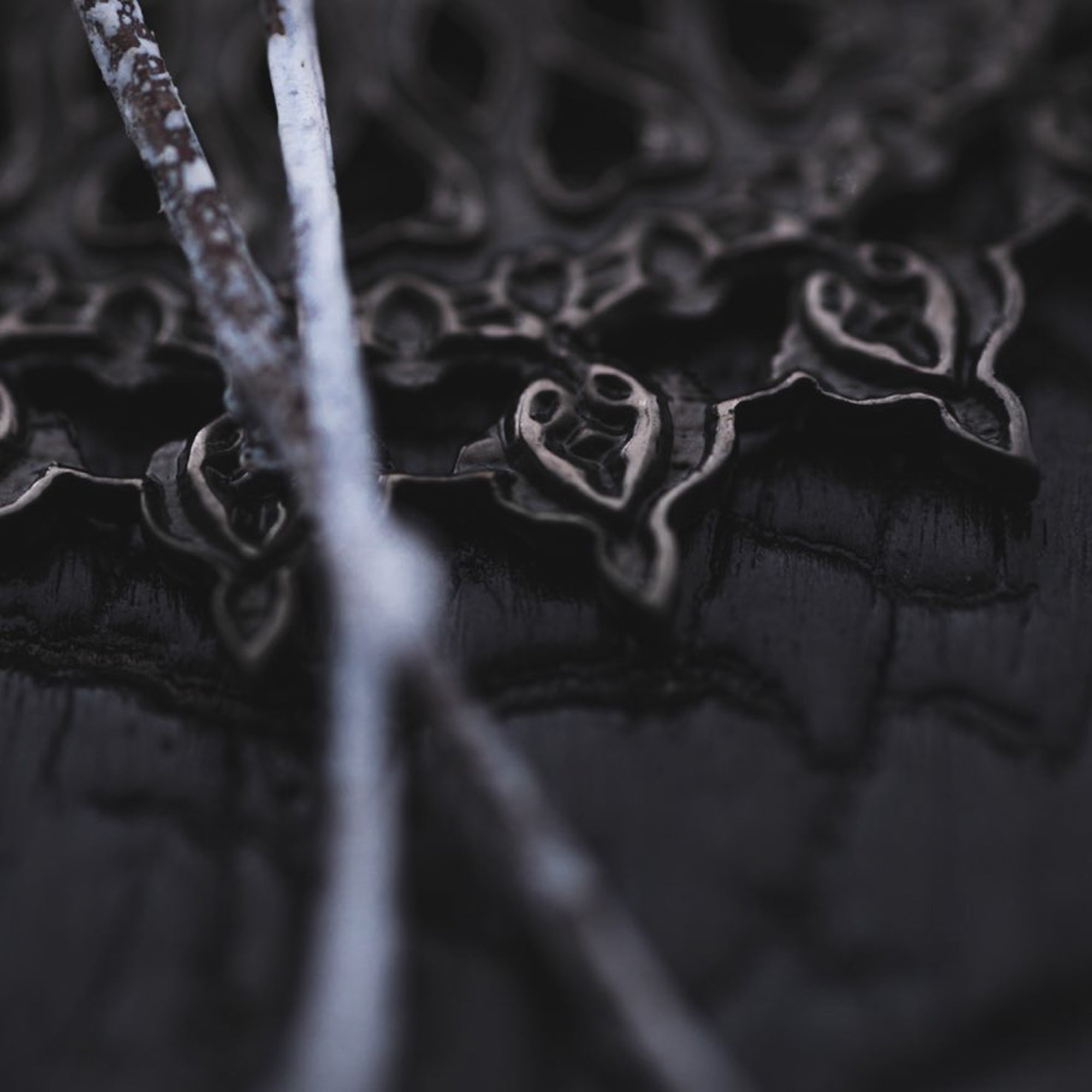 Close-up of the intricately designed MOZAIKA Oversized Gothic Disc Earrings in Black by Kaya Movement against a dark background. Two thin, white branches intersect diagonally in the foreground, adding contrast to the detailed 16-gauge pattern of the Gothic round hoop earrings behind.