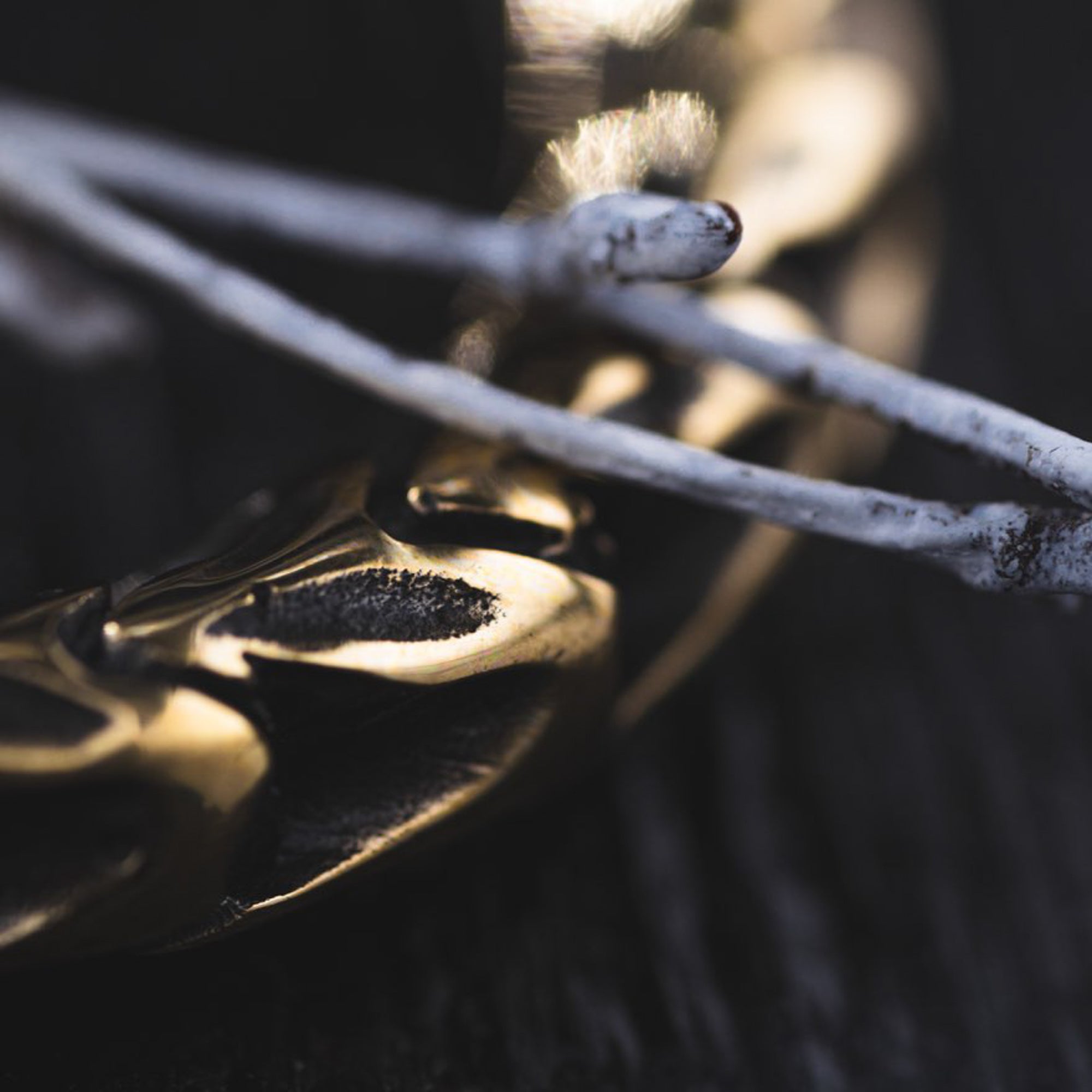 Close-up photograph focusing on a section of the intricately designed QUETZALCOATL Oversized Snake Spine Hoop Earrings in Gold | 14 gauge by Kaya Movement intertwined with dried twigs. The image captures the textures and details of both the gold metalwork and the wood, evoking a sense of post-apocalyptic body jewelry, set against a dark background.