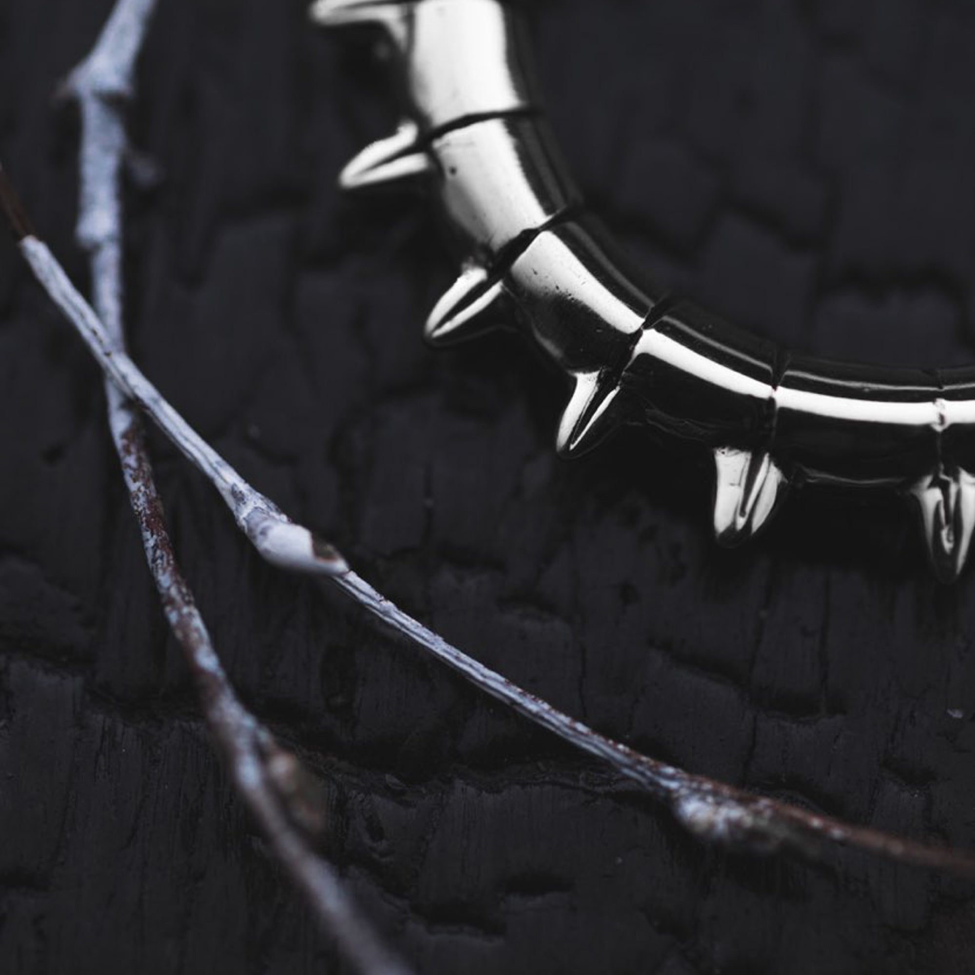 A close-up photograph features the KALASH Medium Spike Hoop Clicker Ear Weights in Silver Brass by Kaya Movement resting on a dark, textured surface. Thin, frost-covered twigs are positioned diagonally across the bottom left corner, adding contrast to the image and enhancing its edgy, tribal punk industrial jewelry vibe.