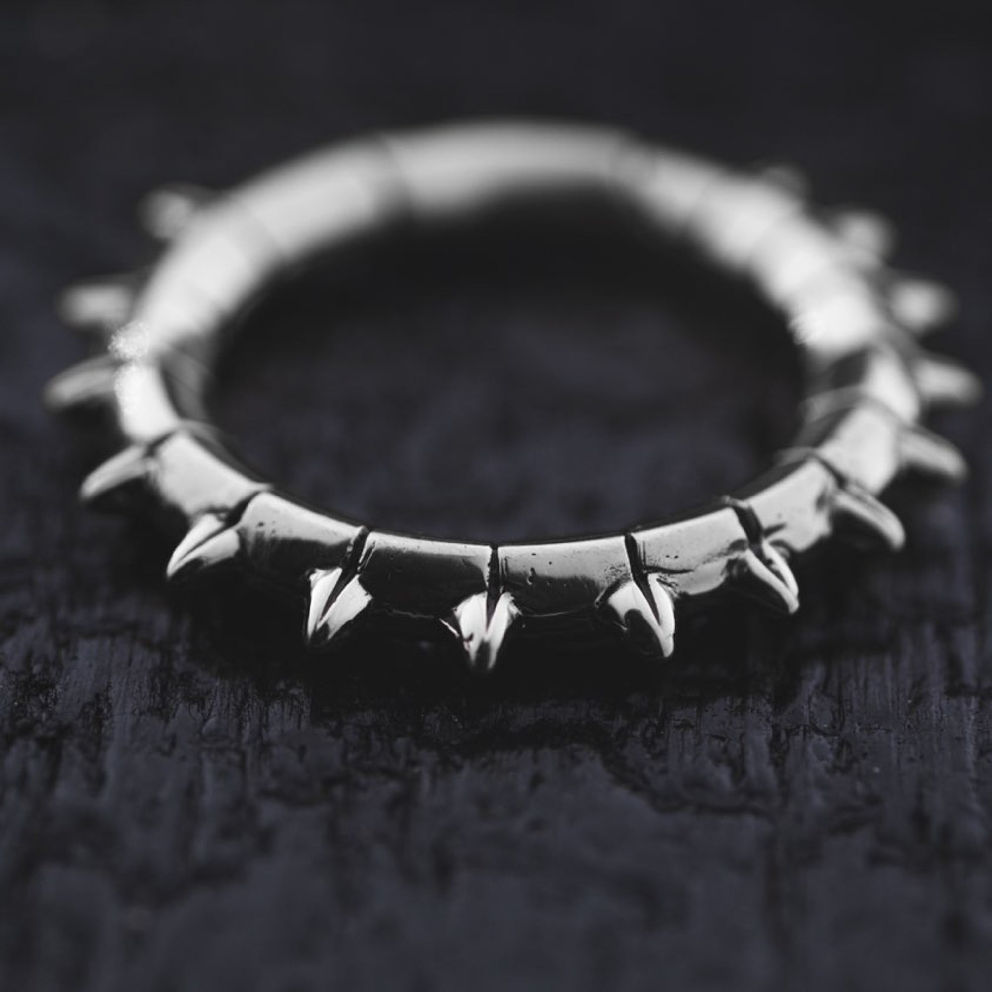 A close-up shot of the KALASH Medium Spike Hoop Clicker Ear Weights in Silver Brass by Kaya Movement, featuring small, evenly spaced spikes around their circumference, resting on a dark, textured surface. Reminiscent of tribal punk industrial jewelry, the ear weights have a polished finish and the spikes add a bold, edgy aesthetic to their design.