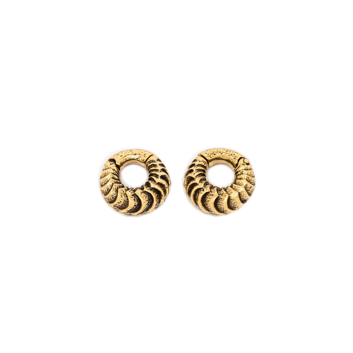 AARO Cyborg Clicker Hoop Ear or Septum Weights in Gold Brass | 6 gauge