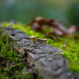 Close-up of Kaya Movement's EL Angel Wings Stud Earrings in Gold, crafted in 18 gauge yellow brass, placed on moss-covered tree bark. The softly blurred background accentuates the texture and details of the jewelry as they catch the light near an earlobe, creating a stunning contrast against the natural setting.