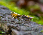 A close-up photograph of Kaya Movement's EL Angel Wings Stud Earrings in Gold resting on textured tree bark. The earrings are crafted from yellow brass, and the background is softly blurred to highlight the contrasting green moss and rich brown tones of the bark. Perfect for adorning the ear lobe or presenting in elegant gift packaging.