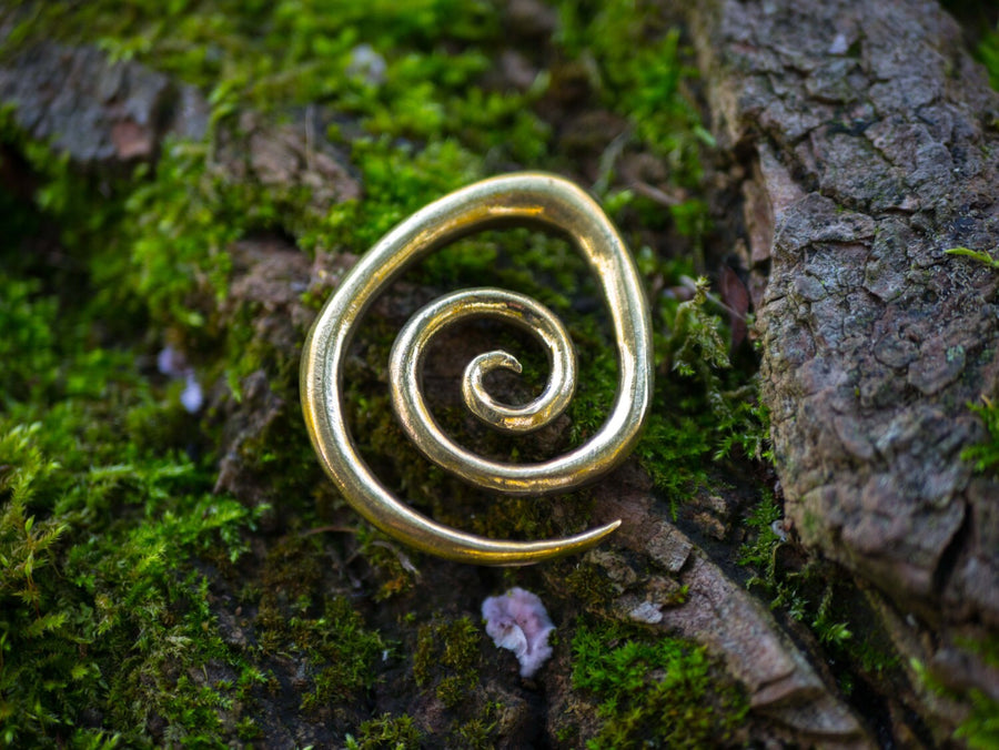 A Brass Spiral heavy ear weight, crafted from nickel-free brass with an antique finish, by Kaya Movement lies on a lush bed of green moss and tree bark, blending into the natural, earthy surroundings. The jewelry's metallic sheen contrasts with the rough, organic texture of the moss and bark.