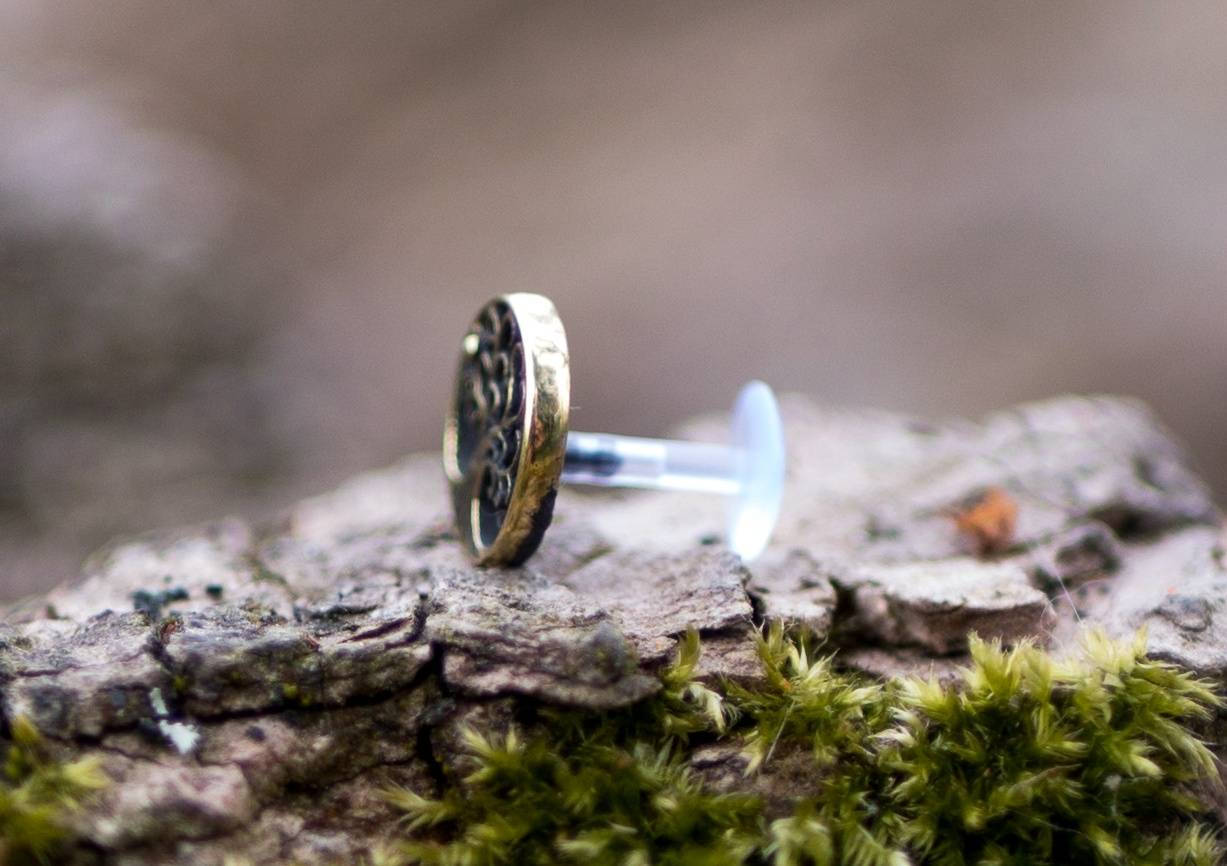 A close-up photograph showcases the TREE OF LIFE Labret Stud in Gold by Kaya Movement, a 16-gauge earring crafted from gold brass body jewelry. Featuring an intricate Tree of Life design with a metallic finish, the stud is paired with a clear plastic backing. The earring rests on a textured, moss-covered surface while the background remains blurred.