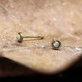Close-up of a pair of small, round studs featuring opal stones set in gold-colored metal. The Kaya Movement EDEN Nose Pin Studs, available in gold with turquoise, onyx, or white opal, are delicately placed on a textured brown surface that resembles a dried leaf. This arrangement accentuates their simplistic and elegant design, reminiscent of minimalist nose studs often seen in natural stone body jewelry.