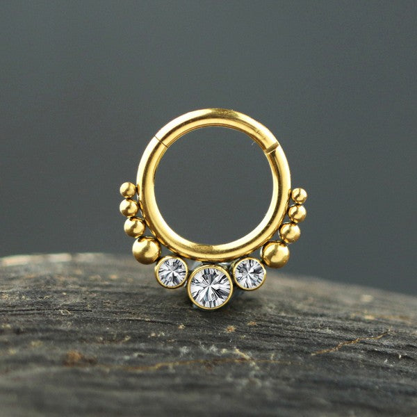 TRIZA — Septumring